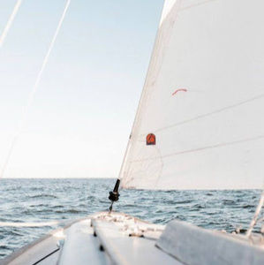 Meet your Posher, Grayson